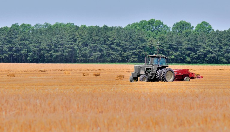 The Farm Bill sucks. The Senate can fix it.