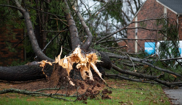 Kentucky governor declares state of emergency amid severe weather