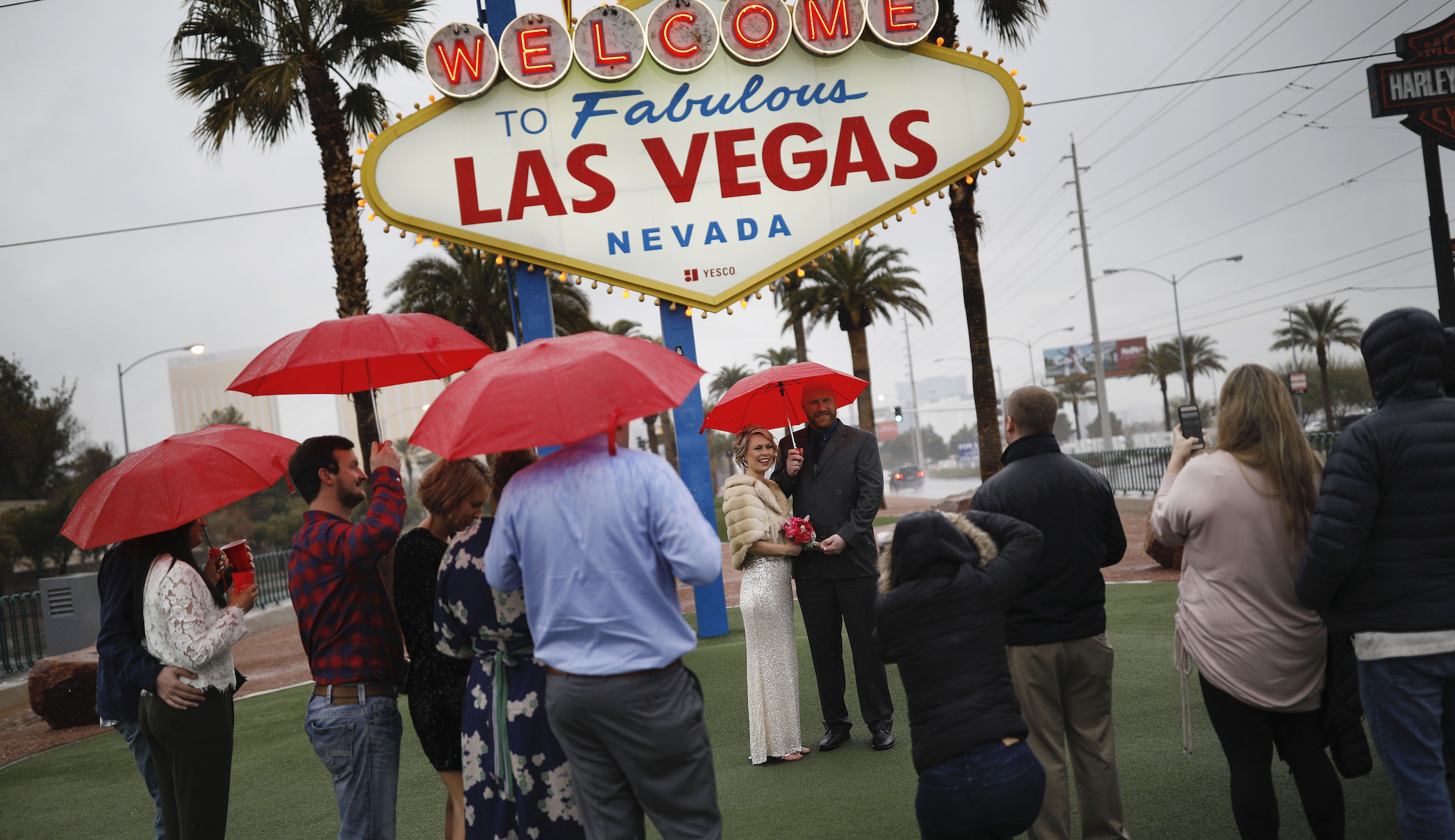 Tourism industry prepares for travel to pick up