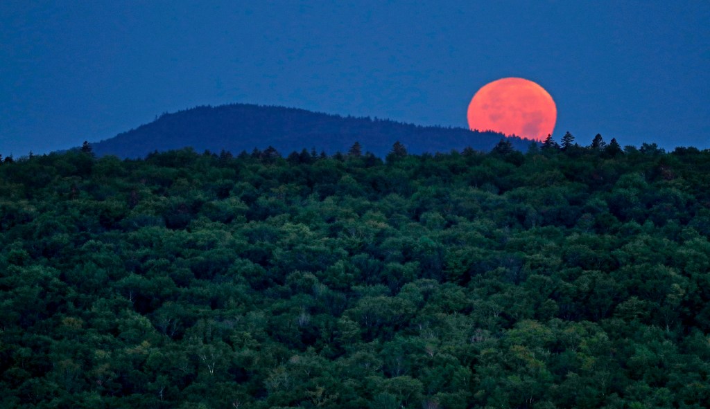 Senate committee advances bill saving conservation fund for national parks