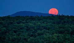 Senate committee advances bill saving conservation fund for national parks