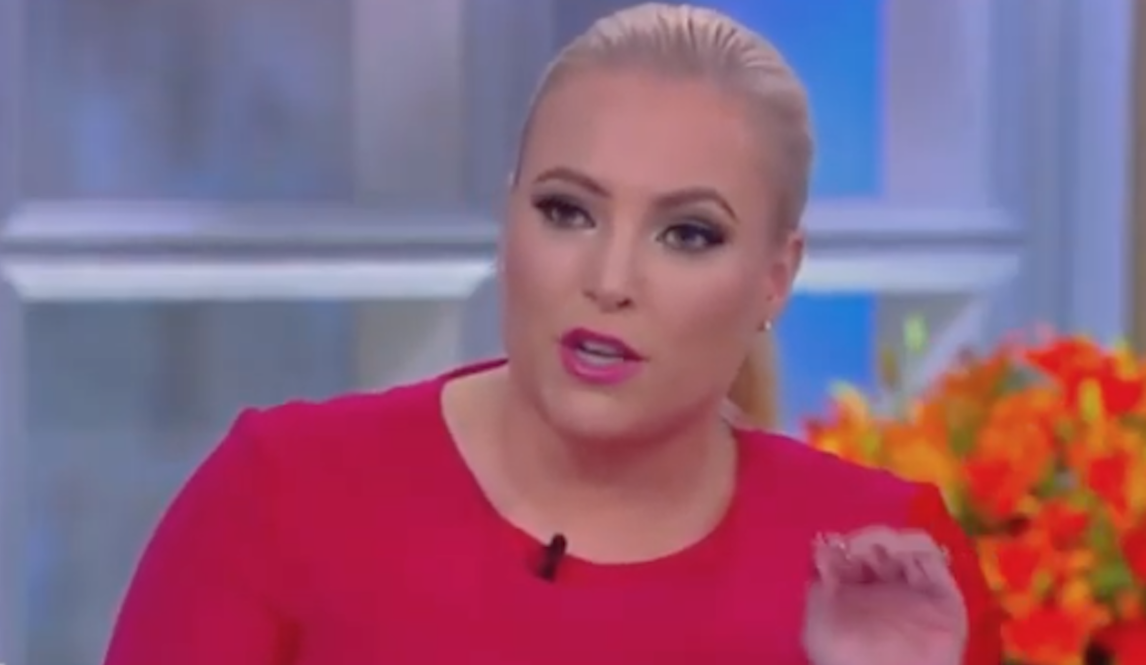 ‘Get someone out there with more than 3 brain cells’: Meghan McCain blasts Trump surrogates