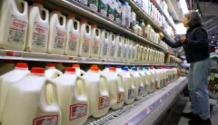 Surprising claim in food feedback: Dairy guidelines are racist