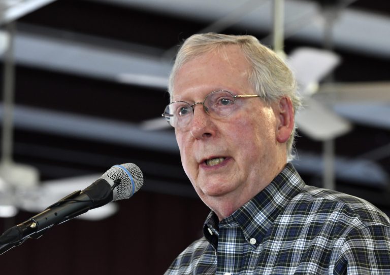 Senate Majority Leader Mitch McConnell, R-Ky., speaks to the audience gathered at the 138th annual Fancy Farm Picnic, Saturday, Aug. 4, 2018, in Fancy Farm, Ky.