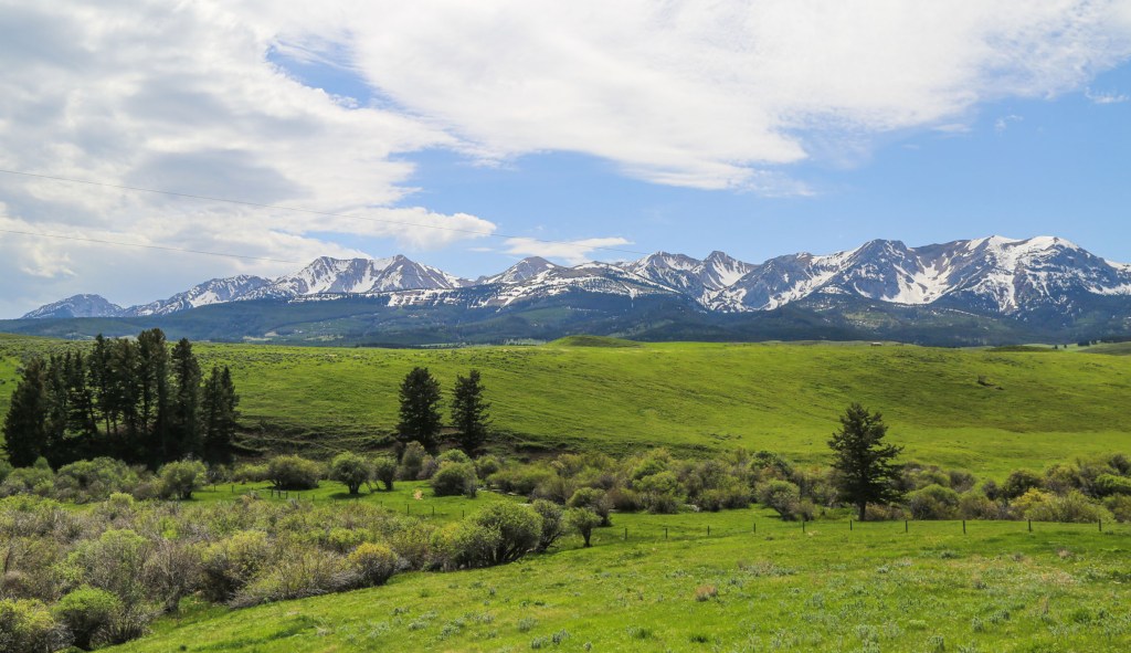 Science loses in Montana court