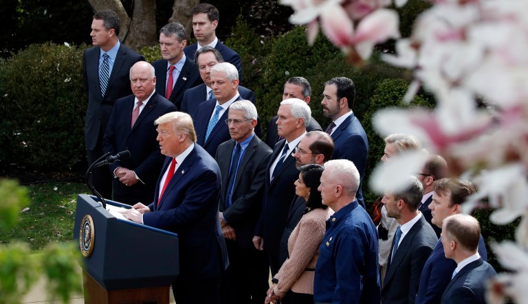 ‘Two very big words’: Trump declares national emergency to combat spread of coronavirus