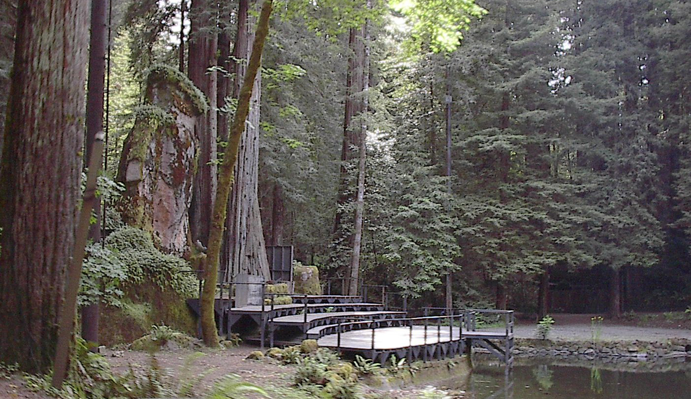 Elite campground Bohemian Grove draws scrutiny from local officials over no-women policy