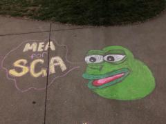 Student government campaign suspended over ‘Pepe the Frog’ meme