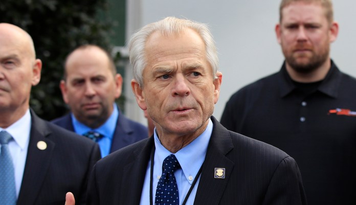 Former White House trade adviser Peter Navarro.