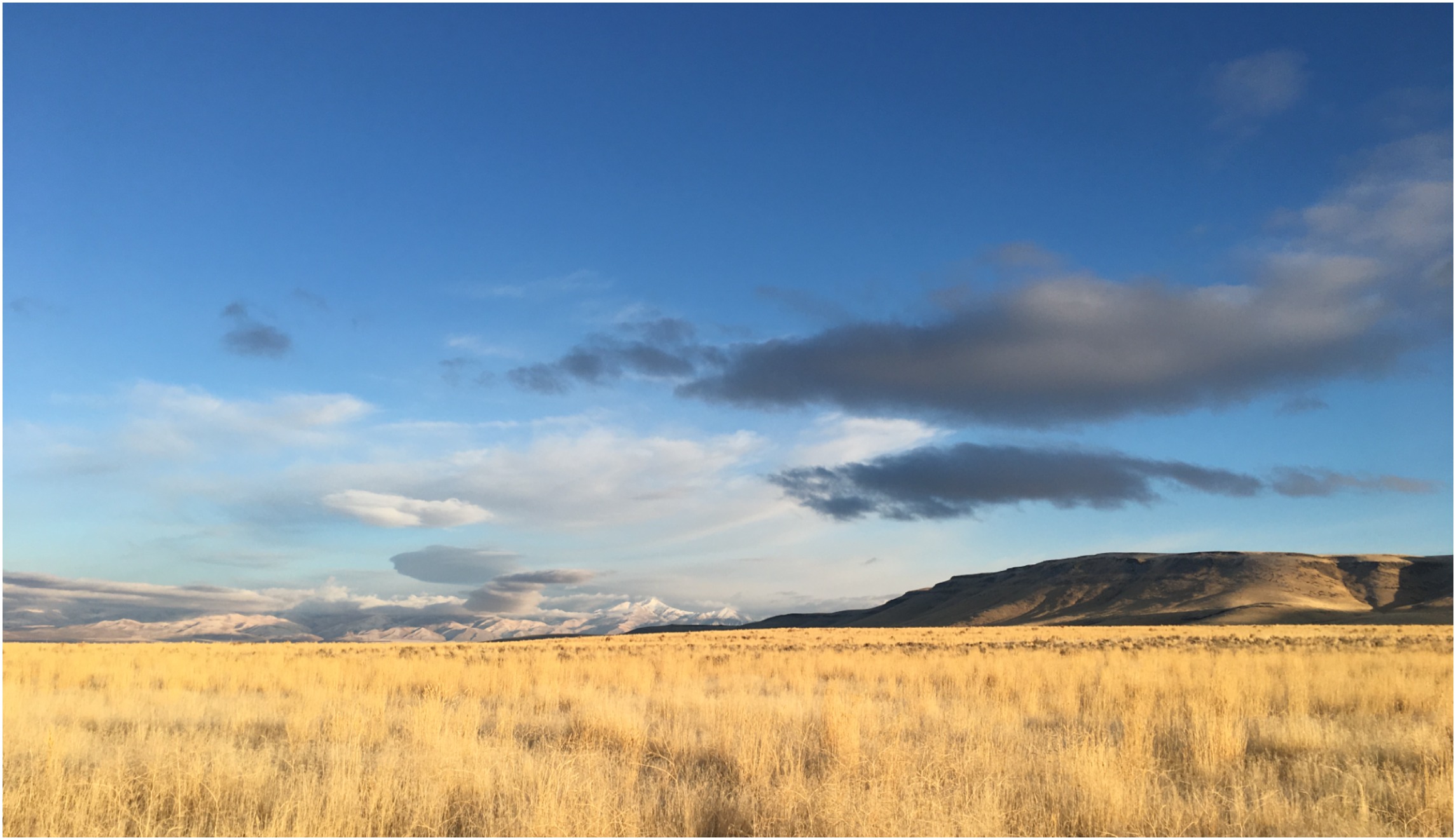 Grenell accuses Schiff and his team of ‘regularly’ leaking classified information