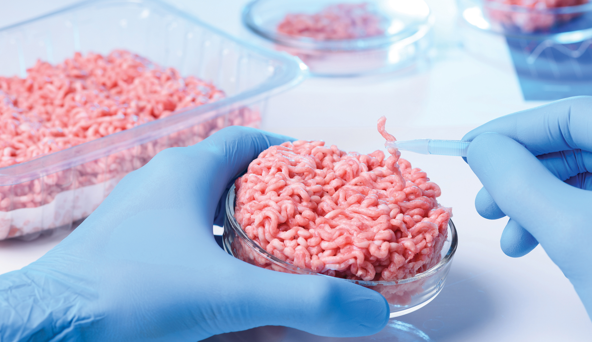 FDA and USDA to share regulation of lab-grown meat
