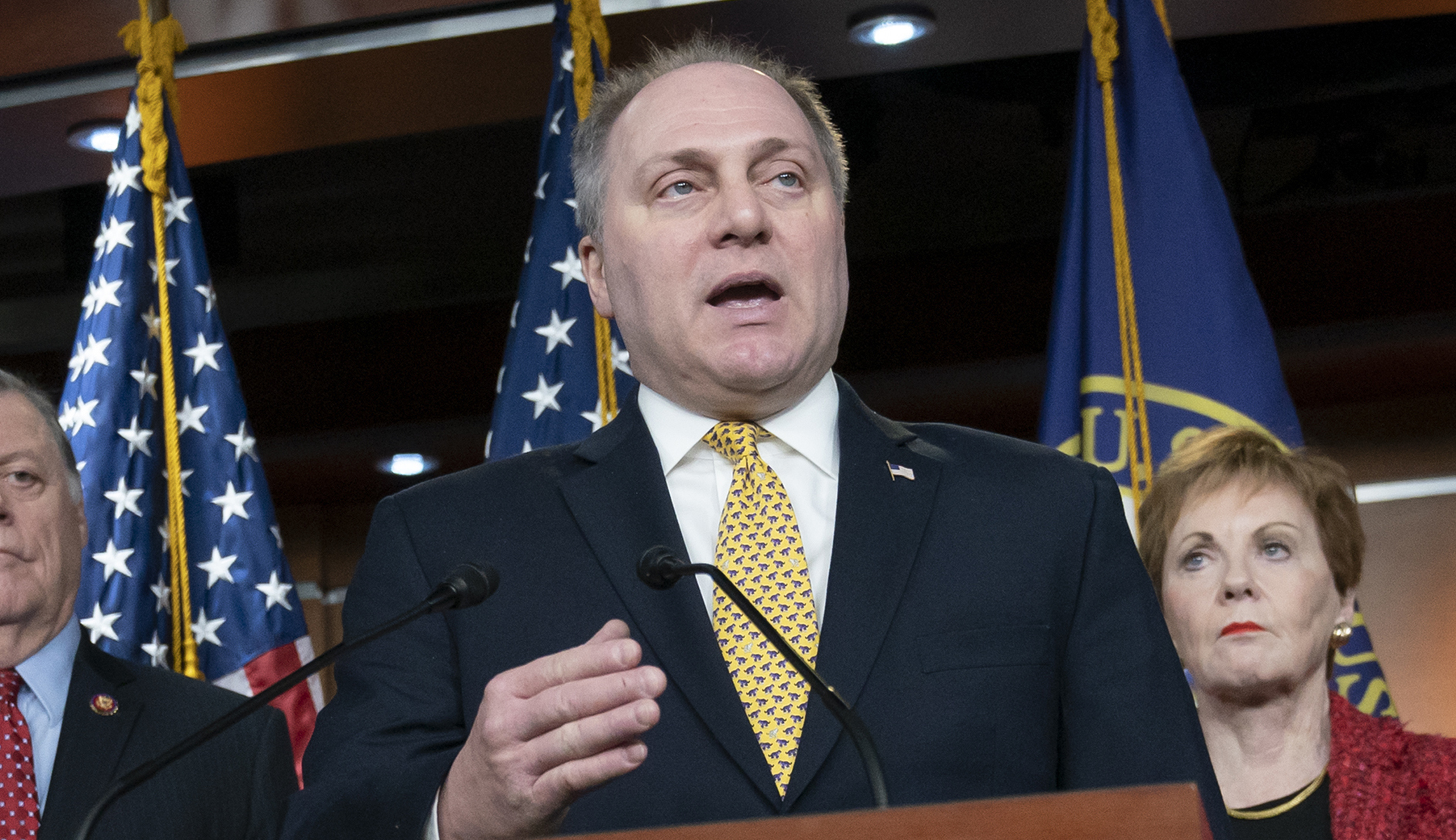 Scalise: House has ‘nowhere near the votes’ to override Trump’s border emergency veto