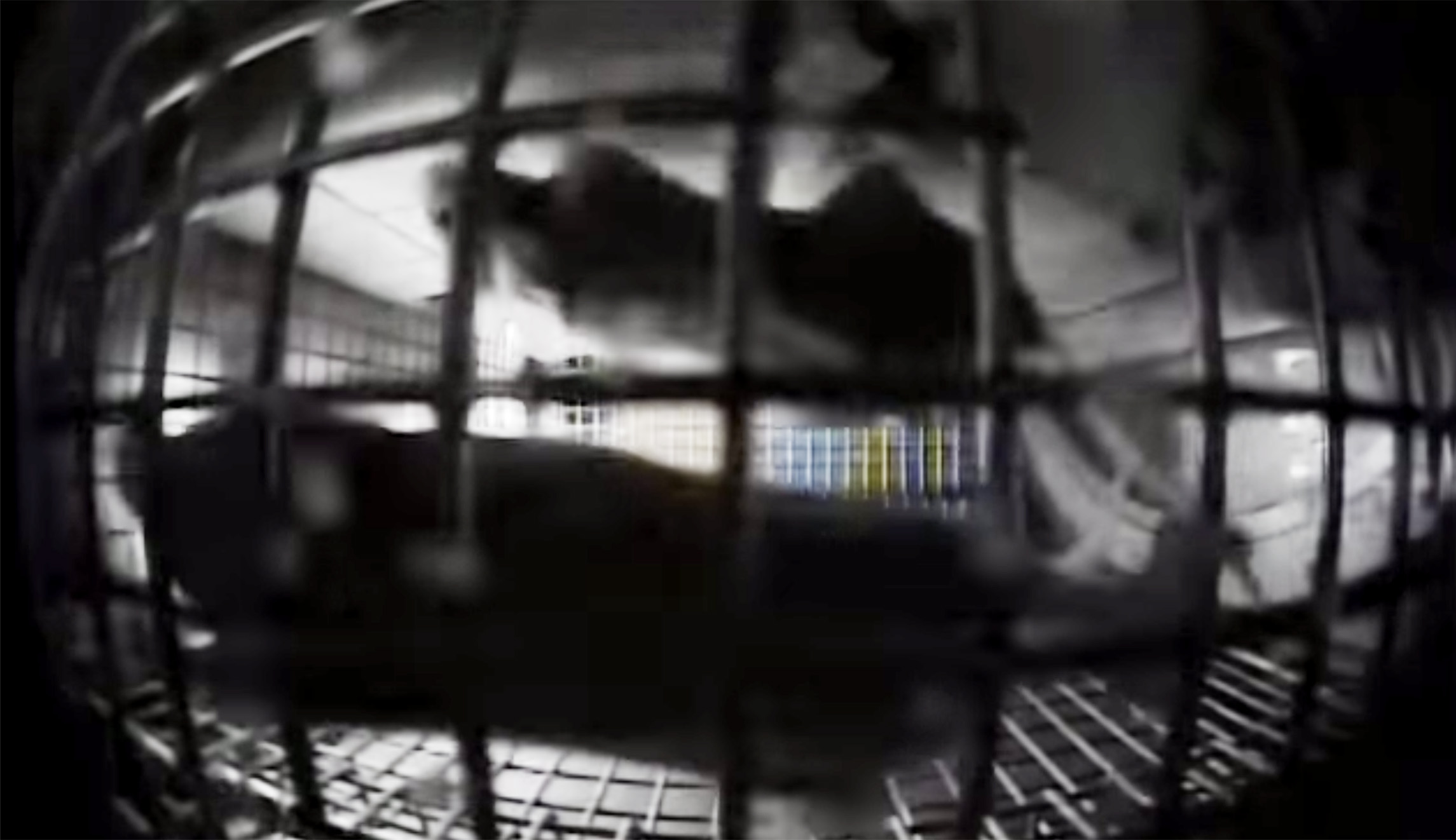 NASA sent mice to space. This was the result