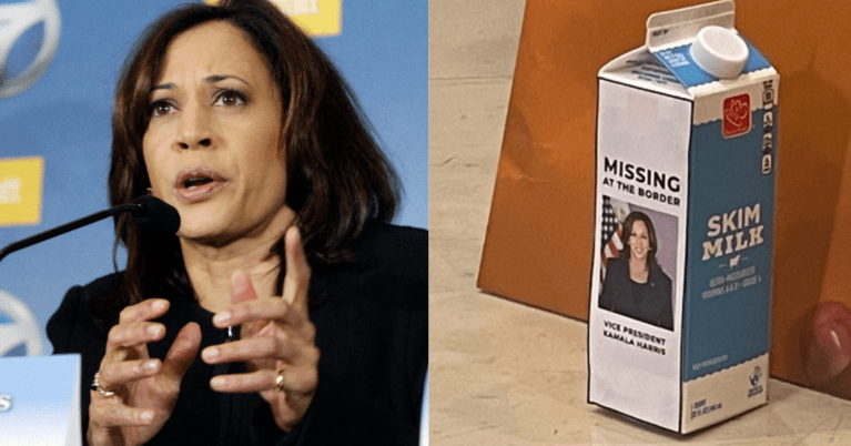 Steve Scalise slams Kamala Harris on border absence and puts her picture on missing person-inspired milk carton