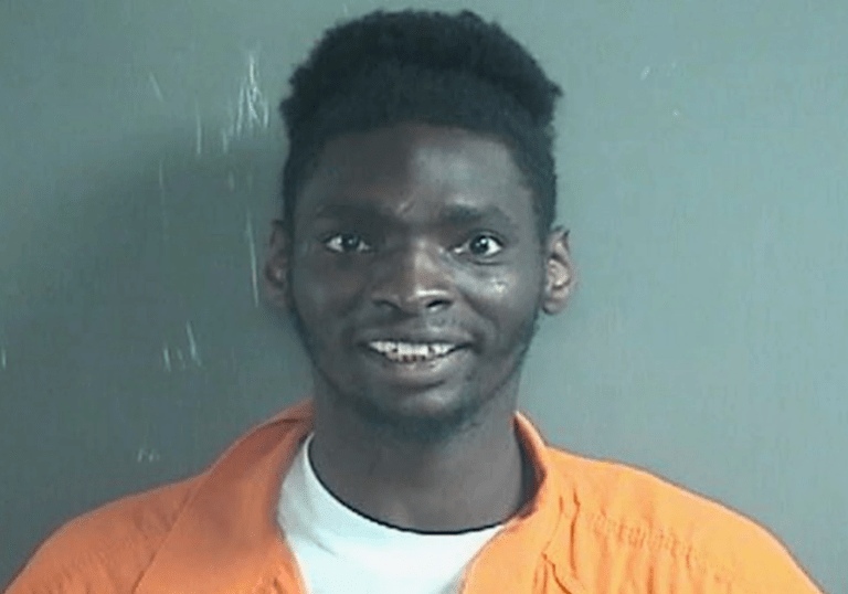 Man charged with murdering teenager two days after being released from prison over COVID-19 fears