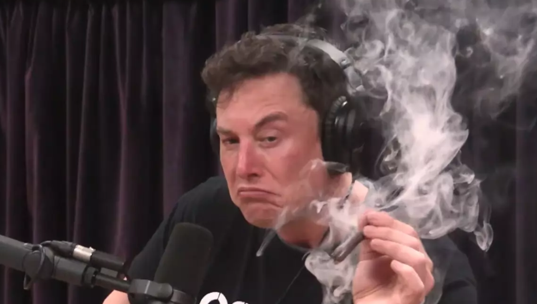 Elon Musk Falls to Earth
