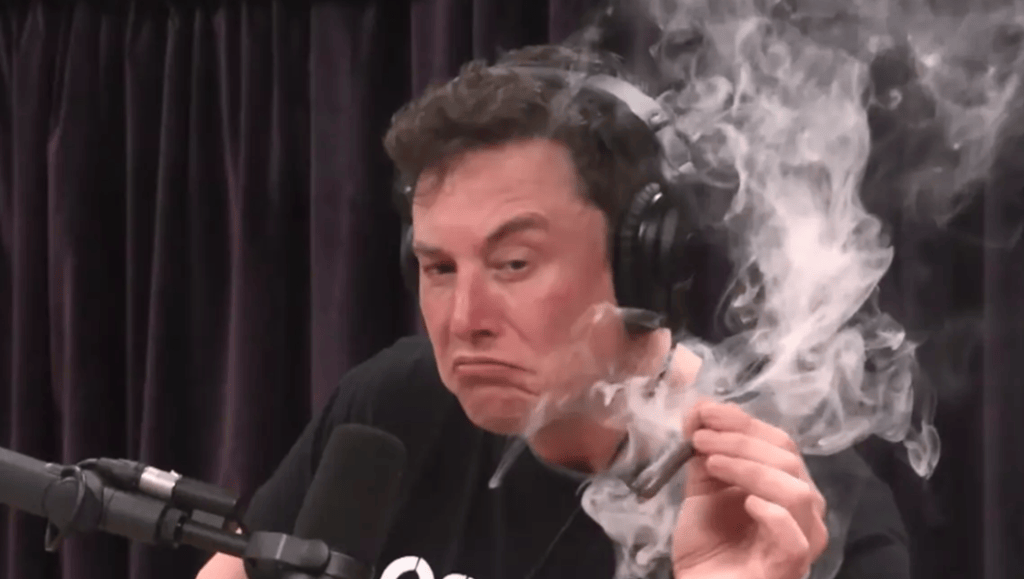 Elon Musk Falls to Earth