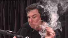 LISTEN: Elon Musk drops Don’t Doubt ur Vibe EDM track