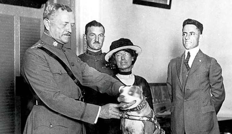 Gen. John "Black Jack" Pershing (left) and several others are pictured with Sgt. Stubby (pictured center-bottom), a dog that served in World War I.