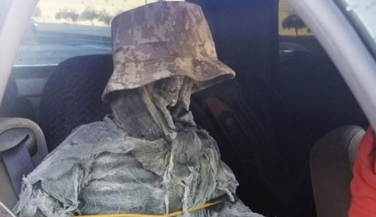 'Skeletor riding shotgun': Man cited for using fake skeleton to drive in HOV lane