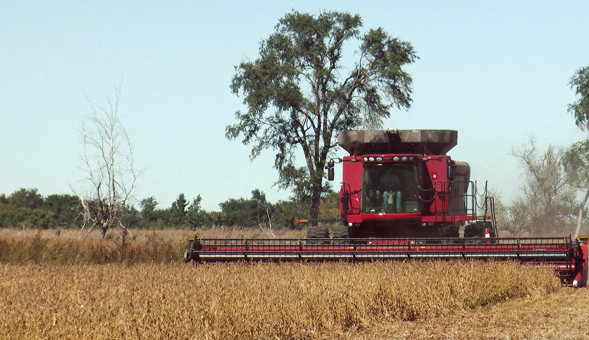 In North Dakota, farmers sweat Trump’s trade war with China