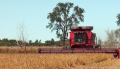 In North Dakota, farmers sweat Trump’s trade war with China