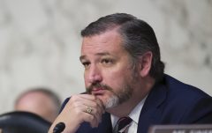 Ted Cruz pitches federal scholarships for children whose schools are closed