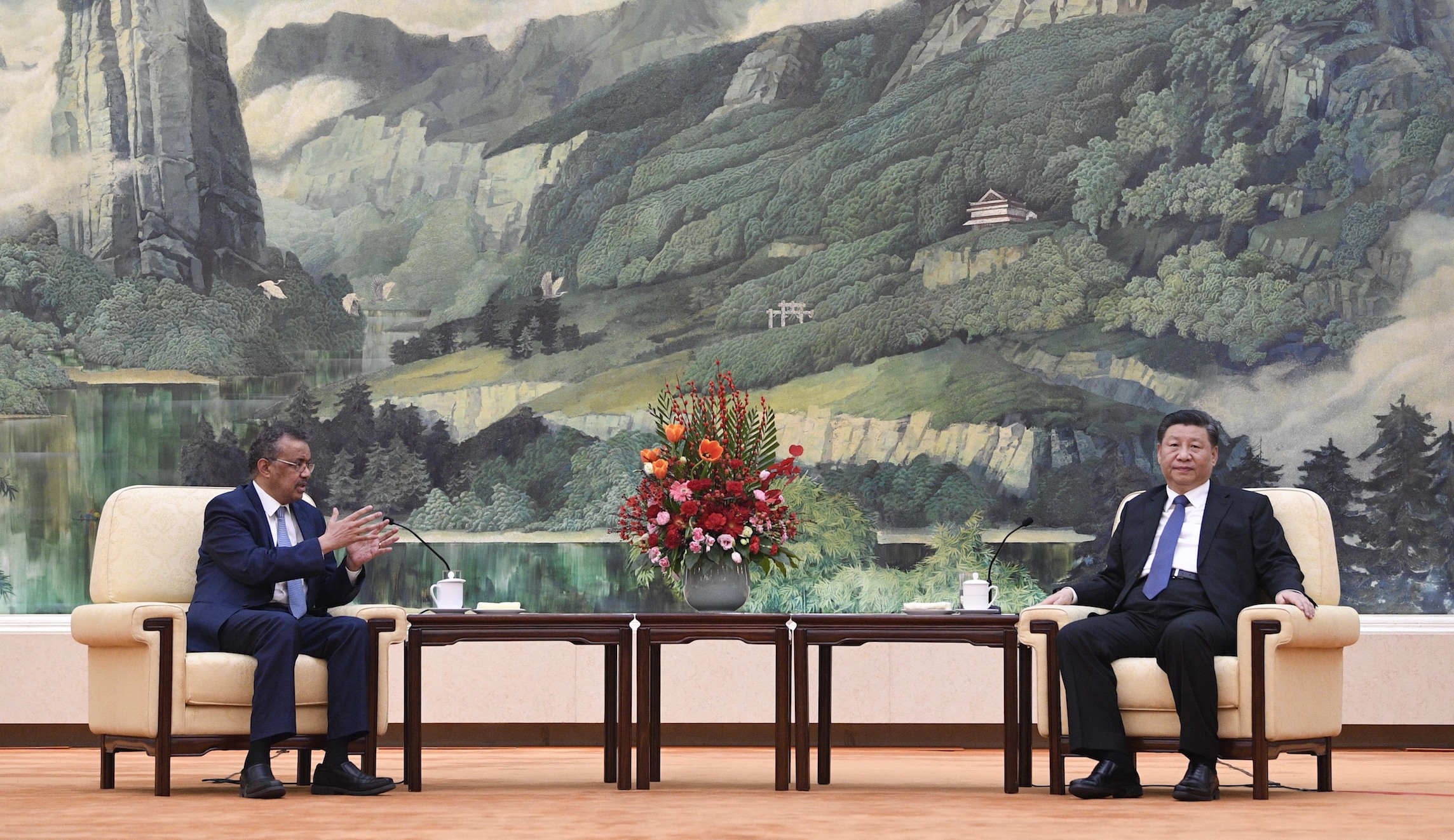 World Health Organization chief response to Trump: ‘Behave’