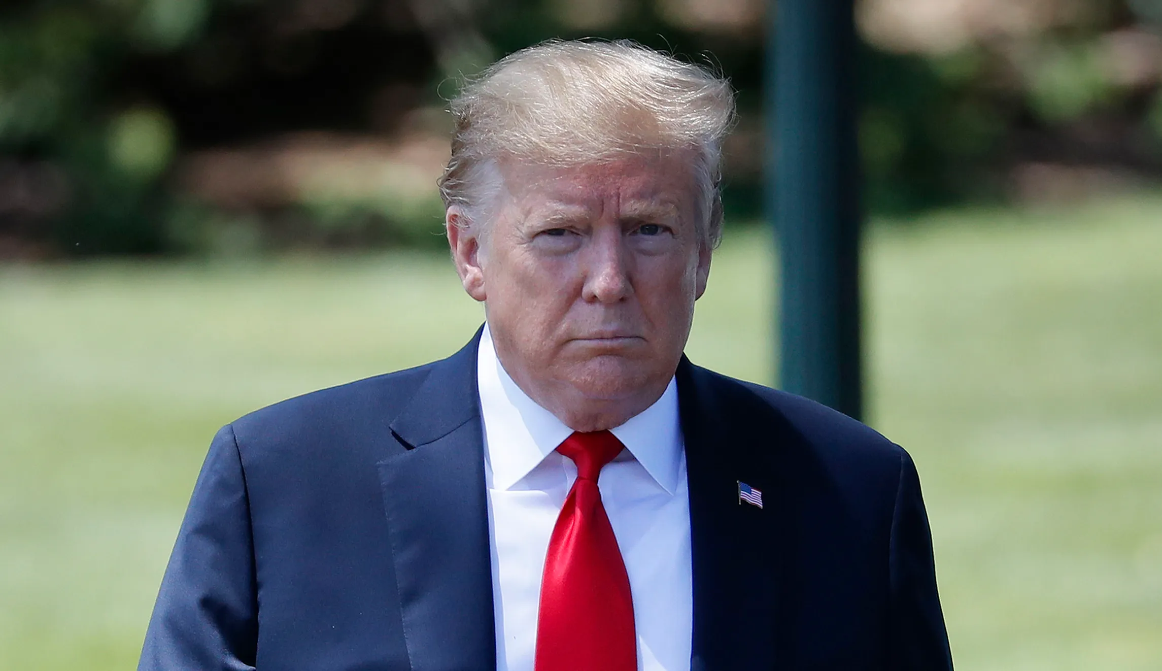 Peter Navarro releases 36-page report alleging election fraud ‘more than sufficient’ to swing victory to Trump