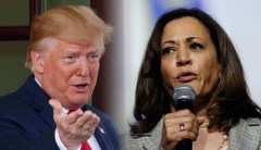 Kamala Harris asks Twitter CEO to suspend Trump account