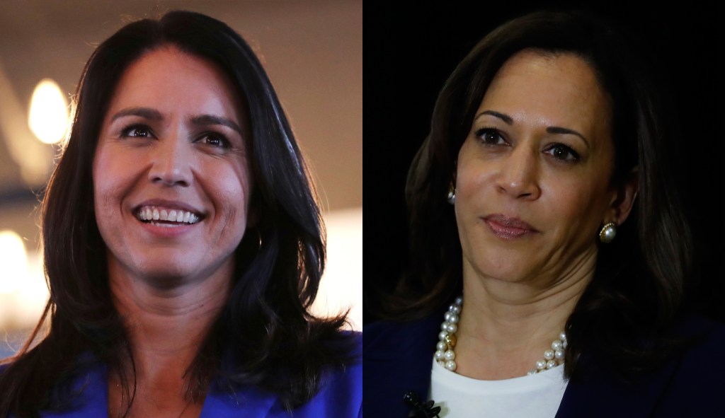 Tulsi Gabbard: Kamala Harris ‘lacks the temperament’ to be president