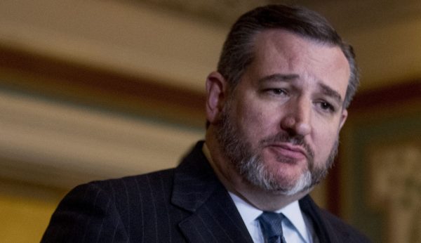 Cruz calls for anyone ‘involved in voter fraud’ to be prosecuted and jailed during Georgia rally