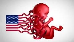 2020 Democrats buy in to the public option