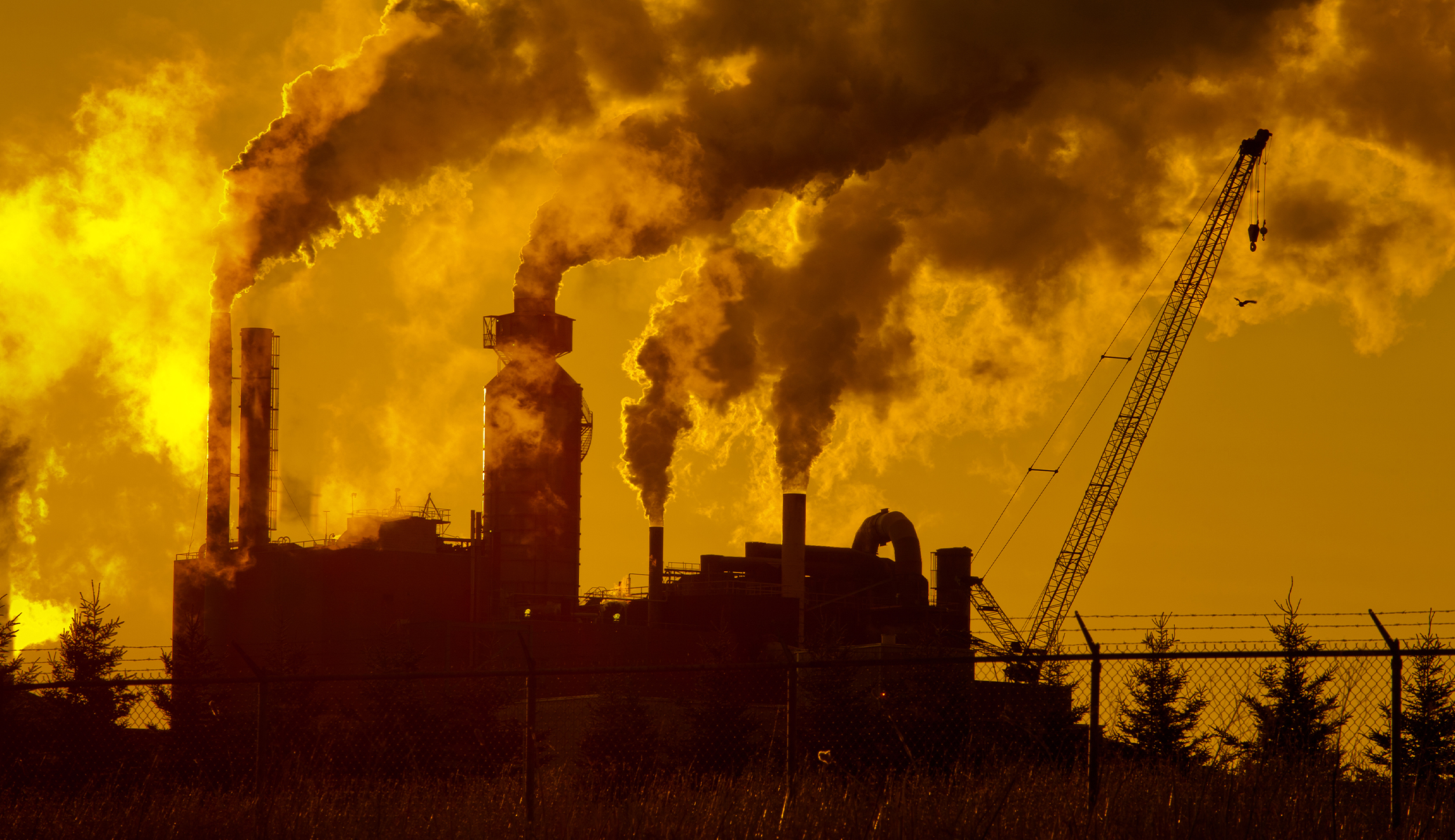 Corporations increasingly see the value of lowering emissions