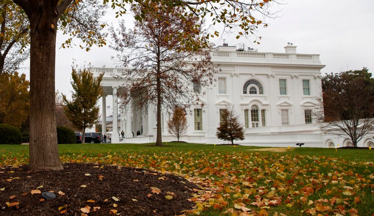 Fall foliage covers the North Lawn of the White House, Wednesday, Nov. 20, 2019, in Washington, as a public impeachment hearing of President Donald Trump's efforts to tie U.S. aid for Ukraine to investigations of his political opponents begins.