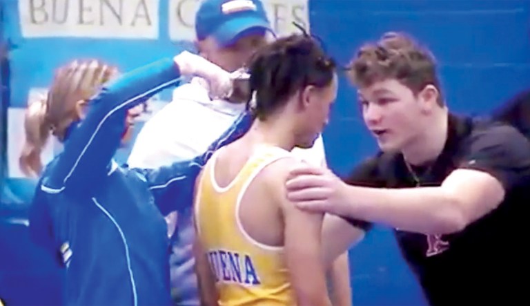 A not so hairbrained idea