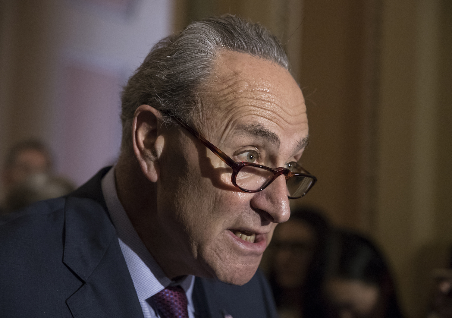 Schumer: Mueller appointment should not impede congressional Russia probe