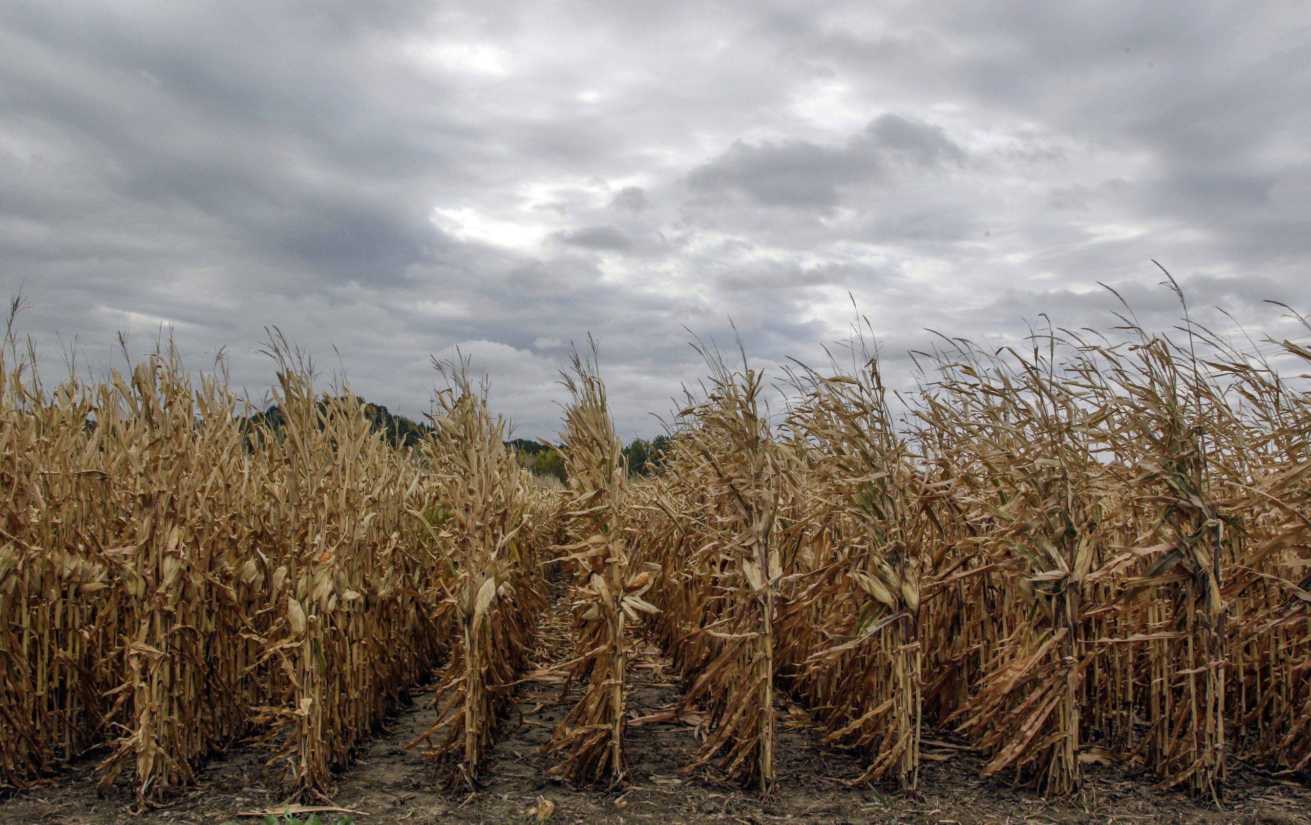 Extreme drought making life difficult for New Hampshire’s farmers