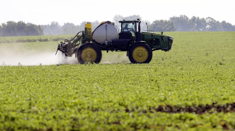 Decision could boost use of popular weed killer