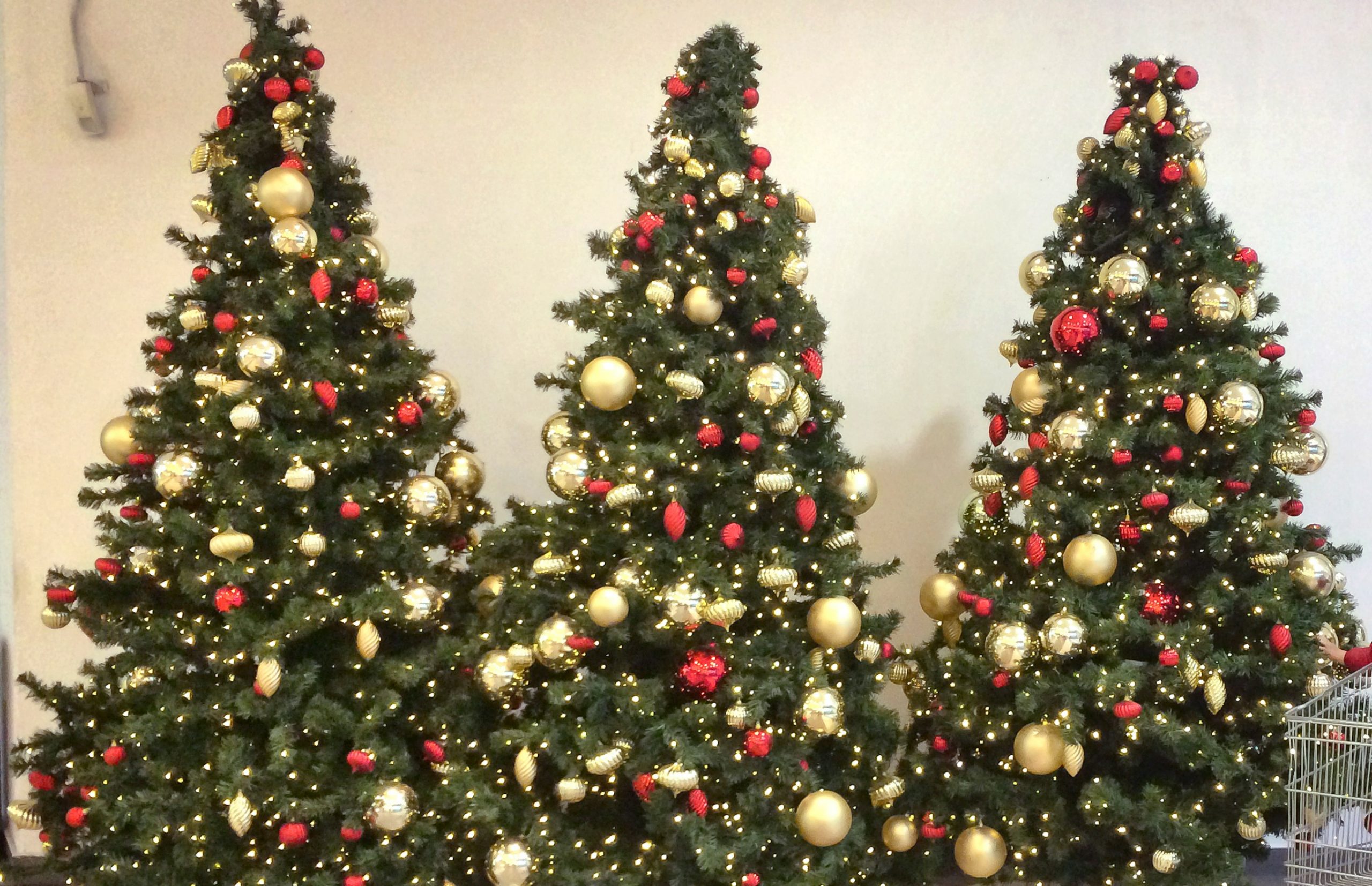 Massachusetts library to put up Christmas tree after backlash over its absence