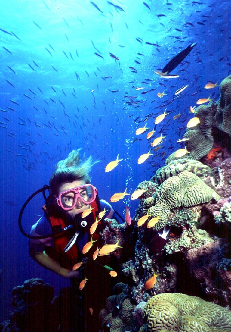 FILE - In this undated file photo, a diver swims on Australia's Great Barrier Reef. The government agency that oversees Australia's Great Barrier Reef on Friday, Jan. 31, 2014, approved a plan to dump vast swathes of sediment on the reef as part of a major coal port expansion - a decision that environmentalists say will endanger one of the world's most fragile ecosystems. Environment Minister Greg Hunt has vowed that 