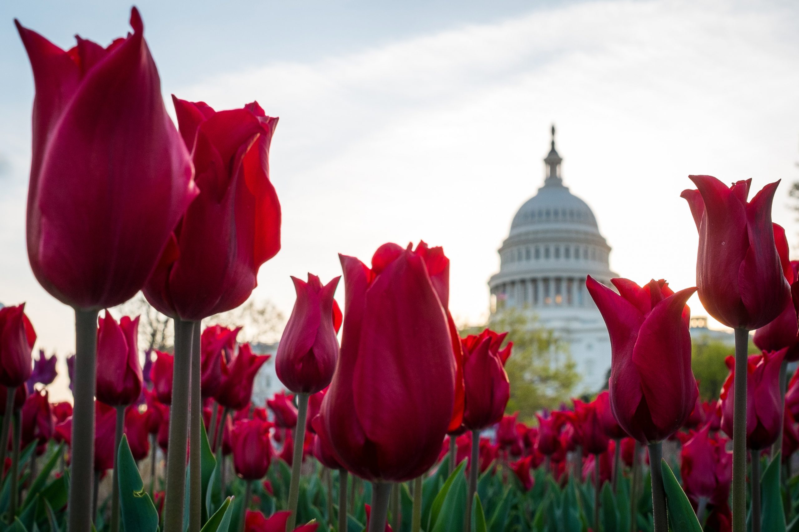 Congress returned to work to do the bare minimum