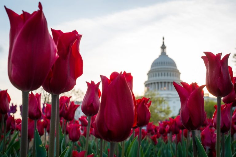 Congress returned to work to do the bare minimum