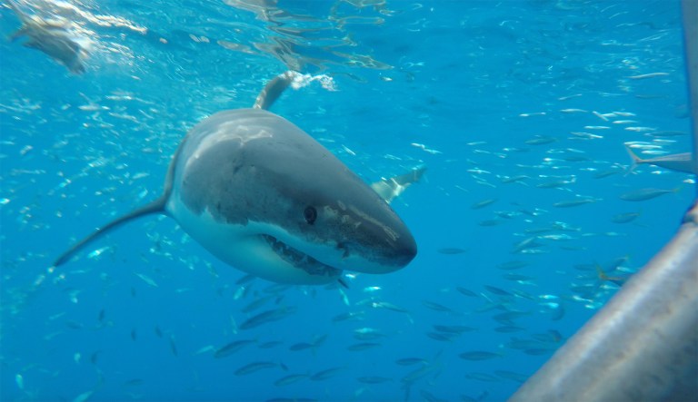 After reports said President Trump once told adult film actress Stormy Daniels, 