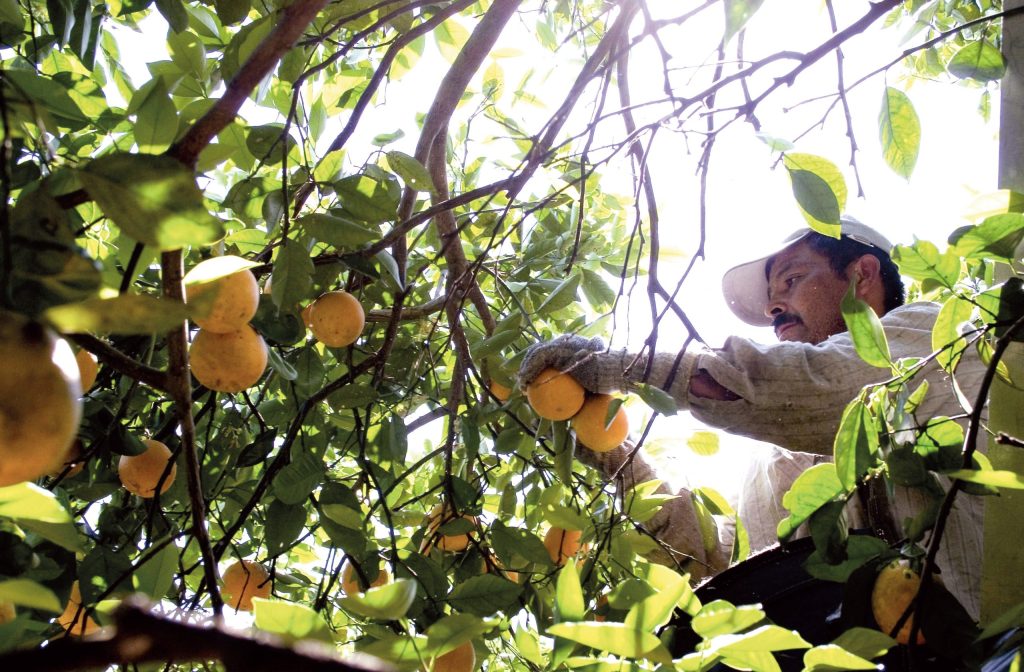 More protection for illegal workers