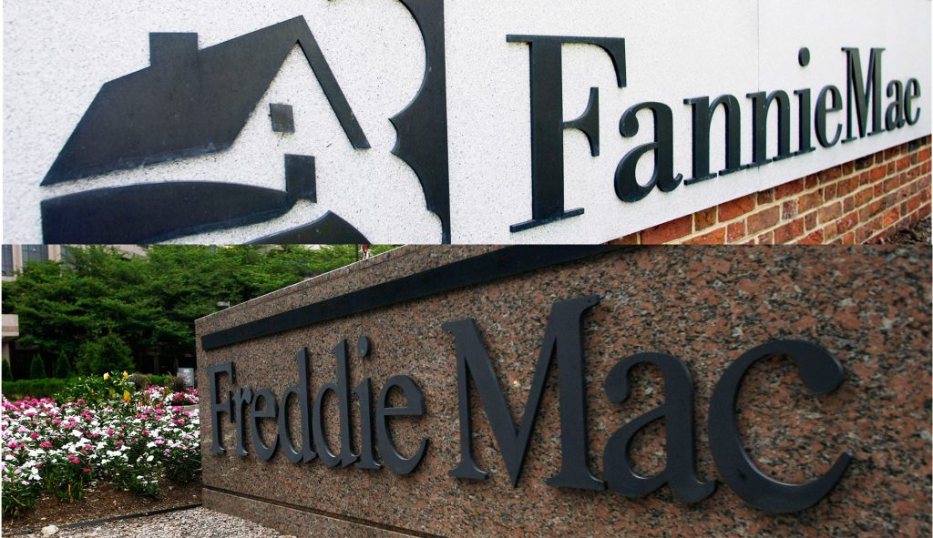 Fannie, Freddie would need up to $100 billion from Treasury in a crisis