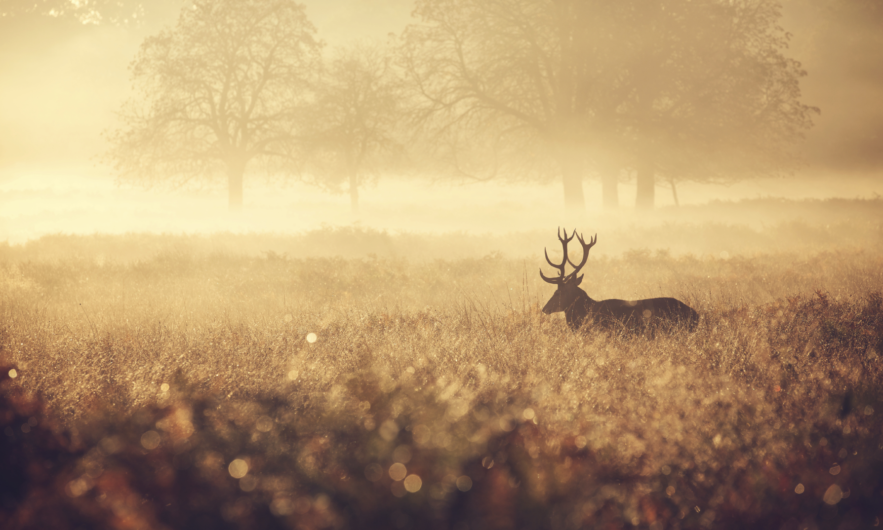 Republicans’ big stand for hunters