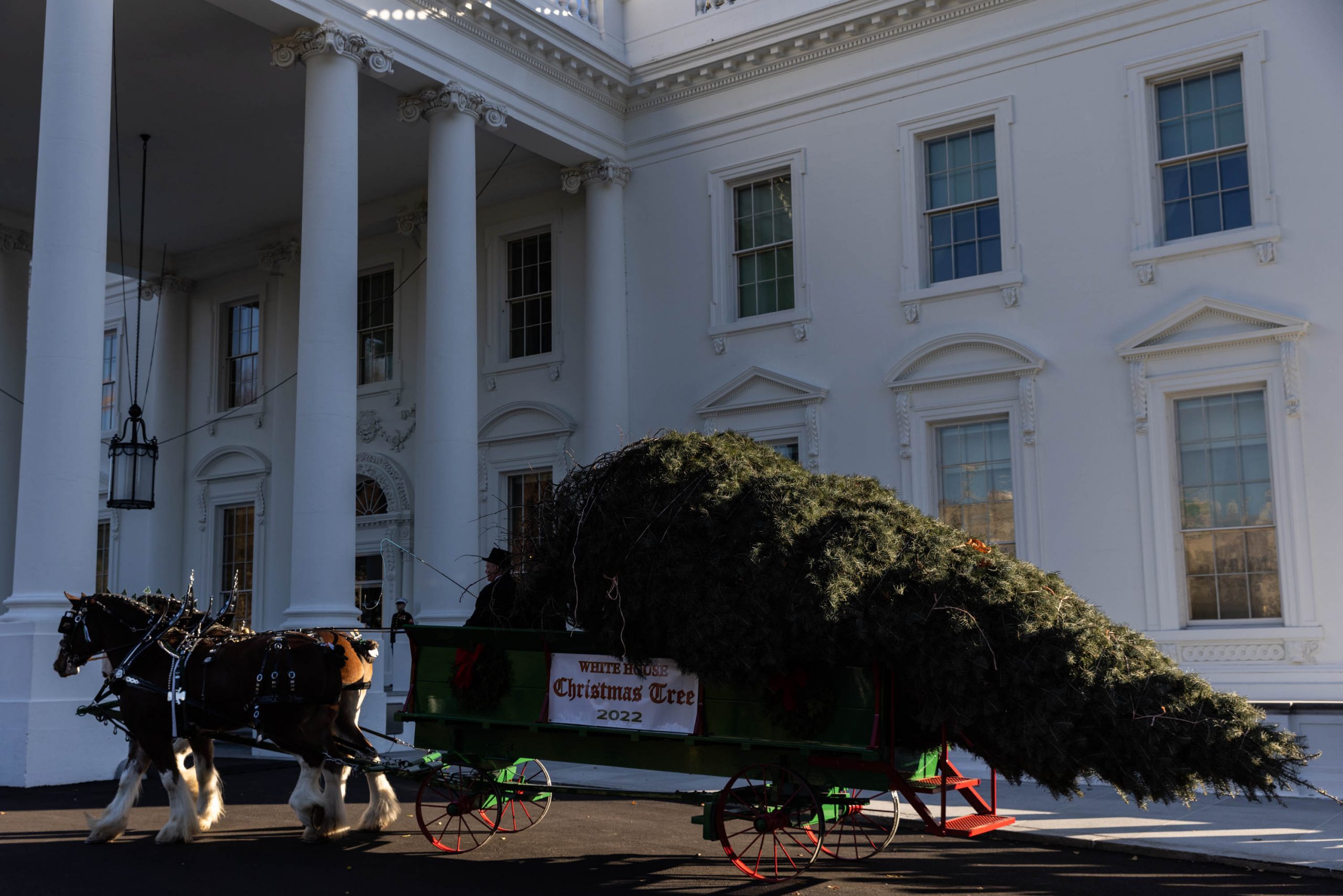 The receiving of the 2022 White House Christmas tree at the White House in Washington on Monday, Nov. 21, 2022. 