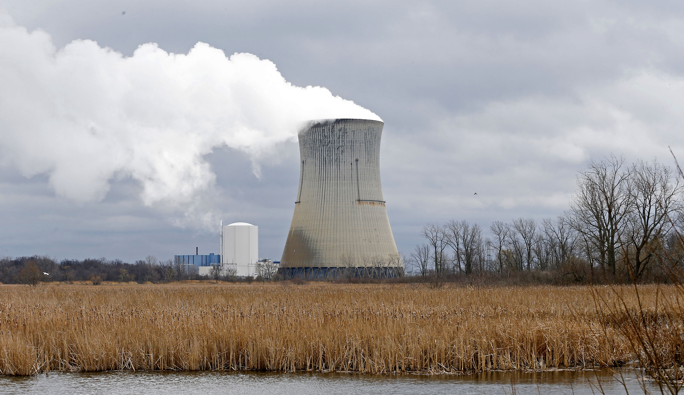Green activists ask Supreme Court to expand environmental rules for nuclear plants