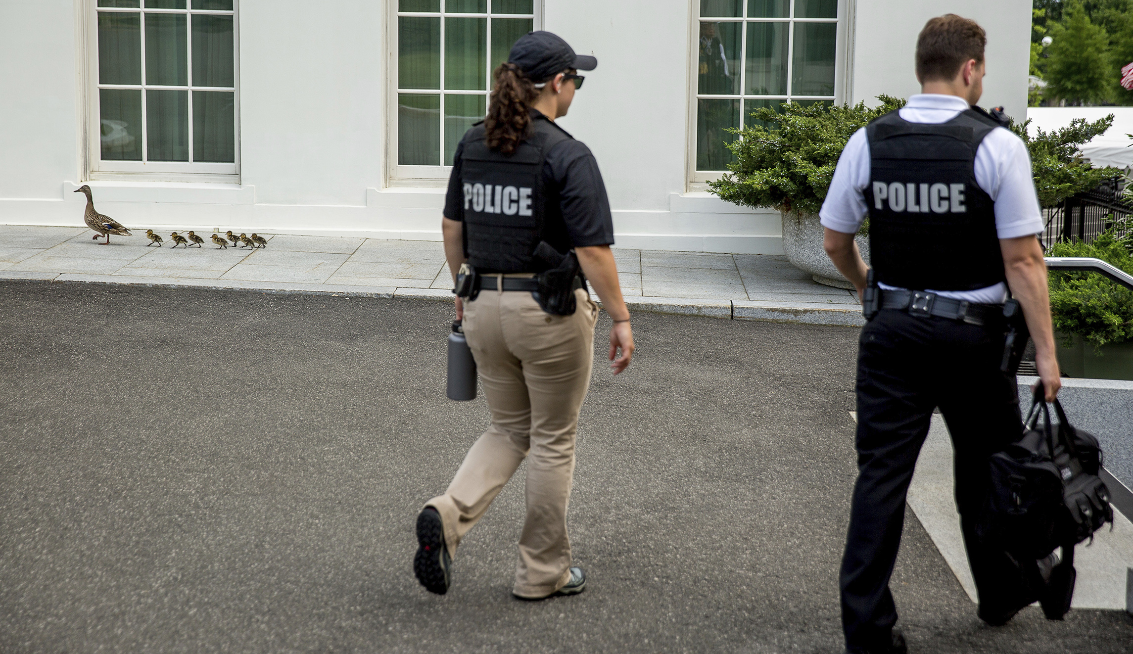 Secret Service special officer accidentally shoots himself while on duty
